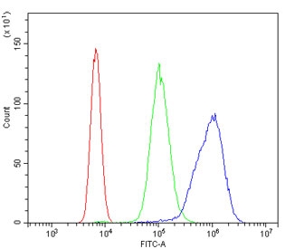 Flow cytometry testing of human U937 cells with Beta Tubulin antibody at 1ug/million cells (blocked with goat sera); Red=cells alone, Green=isotype control, Blue= Beta Tubulin antibody.
