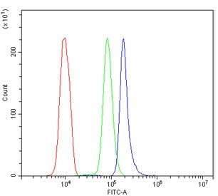 Flow cytometry testing of fixed and permeabilized human U937 cells with HMMR antibody at 1ug/million cells (blocked with goat sera); Red=cells alone, Green=isotype control, Blue= HMMR antibody.