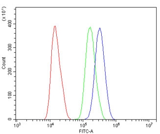 Flow cytometry testing of human SiHa cells with MAFA antibody at 1ug/million cells (blocked with goat sera); Red=cells alone, Green=isotype control, Blue= MAFA antibody.