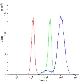Flow cytometry testing of human HeLa cells with Keratin 20 antibody at 1ug/million cells (blocked with goat sera); Red=cells alone, Green=isotype control, Blue= Keratin 20 antibody.