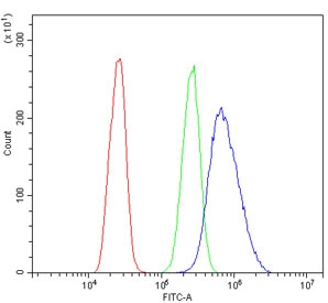 Flow cytometry testing of human A431 cells with LRPPRC antibody at 1ug/million cells (blocked with goat sera); Red=cells alone, Green=isotype control, Blue= LRPPRC antibody.