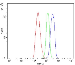 Flow cytometry testing of rat C6 cells with LRPPRC antibody at 1ug/million cells (blocked with goat sera); Red=cells alone, Green=isotype control, Blue= LRPPRC antibody.