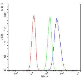 Flow cytometry testing of human SiHa cells with DDX4 antibody at 1ug/million cells (blocked with goat sera); Red=cells alone, Green=isotype control, Blue= DDX4 antibody.
