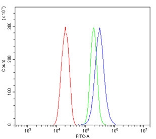 Flow cytometry testing of human SiHa cells with YWHAZ antibody at 1ug/million cells (blocked with goat sera); Red=cells alone, Green=isotype control, Blue= YWHAZ antibody.