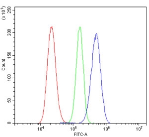 Desmoglein 2 Antibody RH35 FACS. Flow cytometry analysis of rat RH35 cells stained with Desmoglein 2 antibody detecting DSG2. The antibody signal (blue) shows a clear rightward shift compared to cells alone (red) and isotype control (green), indicating positive surface-associated detection of DSG2. This pattern is consistent with Desmoglein 2 as a membrane-localized desmosomal cadherin involved in epithelial cell-cell adhesion and junctional integrity.