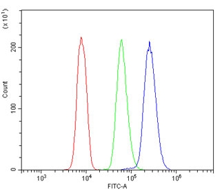 Flow cytometry testing of human U937 cells with PCK2 antibody at 1ug/million cells (blocked with goat sera); Red=cells alone, Green=isotype control, Blue= PCK2 antibody.