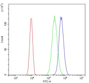 Flow cytometry testing of human SiHa cells with NDC80 antibody at 1ug/million cells (blocked with goat sera); Red=cells alone, Green=isotype control, Blue= NDC80 antibody.