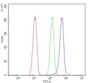 Flow cytometry testing of human A549 cells with Neurofibromin antibody at 1ug/million cells (blocked with goat sera); Red=cells alone, Green=isotype control, Blue= Neurofibromin antibody.