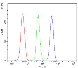 Flow cytometry testing of human U937 cells with IRAK2 antibody at 1ug/million cells (blocked with goat sera); Red=cells alone, Green=isotype control, Blue= IRAK2 antibody.