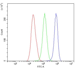 Flow cytometry testing of human HepG2 cells with Niemann Pick C2 antibody at 1ug/million cells (blocked with goat sera); Red=cells alone, Green=isotype control, Blue= Niemann Pick C2 antibody.