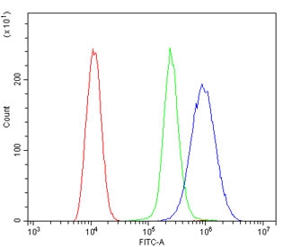Flow cytometry testing of human ThP-1 cells with CCR2 antibody at 1ug/million cells (blocked with goat sera); Red=cells alone, Green=isotype control, Blue= CCR2 antibody.