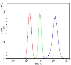 Flow cytometry testing of mouse HEPA1-6 cells with HSPA8 antibody at 1ug/million cells (blocked with goat sera); Red=cells alone, Green=isotype control, Blue= HSPA8 antibody.