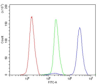 Flow cytometry testing of human K562 cells with PTBP1 antibody at 1ug/million cells (blocked with goat sera); Red=cells alone, Green=isotype control, Blue= PTBP1 antibody.