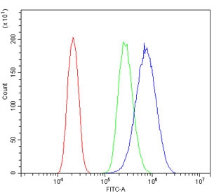 Flow cytometry testing of human PC-3 cells with HK1 antibody at 1ug/million cells (blocked with goat sera); Red=cells alone, Green=isotype control, Blue= HK1 antibody.
