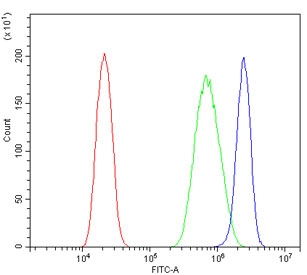 Flow cytometry testing of human PC-3 cells with LIN28A antibody at 1ug/million cells (blocked with goat sera); Red=cells alone, Green=isotype control, Blue= LIN28A antibody.