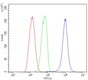 Flow cytometry testing of fixed and permeabilized human HL-60 cells with Enolase 1 antibody at 1ug/million cells (blocked with goat sera); Red=cells alone, Green=isotype control, Blue= Enolase 1 antibody.
