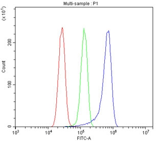 Flow cytometry testing of human U-87 MG cells with CLTC antibody at 1ug/million cells (blocked with goat sera); Red=cells alone, Green=isotype control, Blue= CLTC antibody.