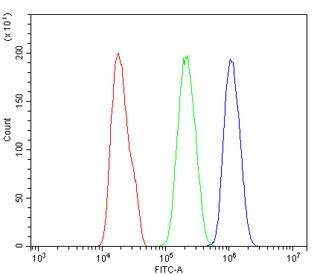 Flow cytometry testing of human PC-3 cells with U2AF65 antibody at 1ug/million cells (blocked with goat sera); Red=cells alone, Green=isotype control, Blue= U2AF65 antibody.