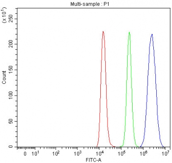 Flow cytometry testing of fixed and permeabilized human Raji cells with DBF4 antibody at 1ug/million cells (blocked with goat sera); Red=cells alone, Green=isotype control, Blue= DBF4 antibody.