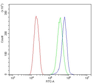 Flow cytometry testing of human SiHa cells with GLS antibody at 1ug/million cells (blocked with goat sera); Red=cells alone, Green=isotype control, Blue= GLS antibody.