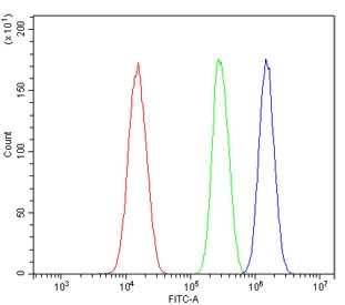 Flow cytometry testing of human SiHa cells with AIP4 antibody at 1ug/million cells (blocked with goat sera); Red=cells alone, Green=isotype control, Blue= AIP4 antibody.