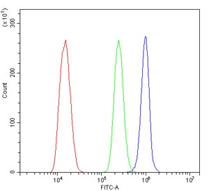 Flow cytometry testing of mouse ANA-1 cells with MYH10 antibody at 1ug/million cells (blocked with goat sera); Red=cells alone, Green=isotype control, Blue= MYH10 antibody.