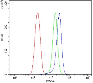 Flow cytometry testing of human SiHa cells with BCRP antibody at 1ug/million cells (blocked with goat sera); Red=cells alone, Green=isotype control, Blue= BCRP antibody.