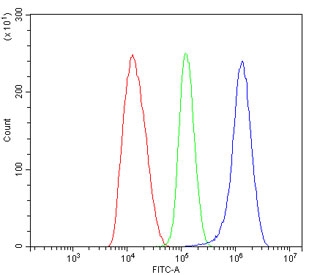Flow cytometry testing of human HepG2 cells with ALDH1L1 antibody at 1ug/million cells (blocked with goat sera); Red=cells alone, Green=isotype control, Blue= ALDH1L1 antibody.