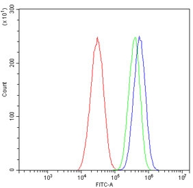 ALPL Antibody HepG2 FACS. Flow cytometry analysis of human HepG2 cells stained with ALPL Antibody / Phosphate Metabolism Enzyme Antibody demonstrates a distinct right-shifted fluorescence population relative to the isotype control, consistent with cell-associated expression of alkaline phosphatase, tissue-nonspecific isozyme / ALPL. This phosphate metabolism enzyme is associated with epithelial differentiation and extracellular phosphate regulation pathways in metabolically active cellular populations. Red=cells alone, Green=isotype control, Blue=ALPL antibody.
