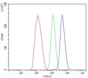 Flow cytometry testing of human HepG2 cells with Arginase 2 antibody at 1ug/million cells (blocked with goat sera); Red=cells alone, Green=isotype control, Blue= ARG2 antibody.