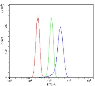 Flow cytometry testing of human U-87 MG cells with ATG9A antibody at 1ug/million cells (blocked with goat sera); Red=cells alone, Green=isotype control, Blue= ATG9A antibody.
