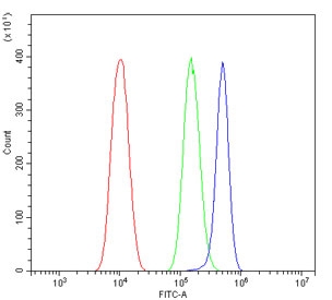 Flow cytometry testing of human PC-3 cells with Claudin 16 antibody at 1ug/million cells (blocked with goat sera); Red=cells alone, Green=isotype control, Blue= Claudin 16 antibody.