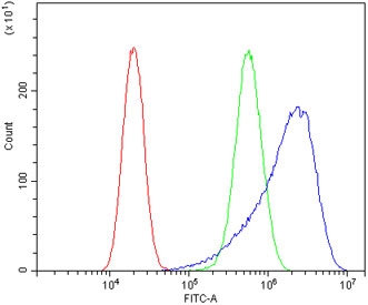 Flow cytometry testing of human A549 cells with EGF Receptor antibody at 1ug/million cells (blocked with goat sera); Red=cells alone, Green=isotype control, Blue= EGF Receptor antibody.