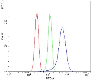 GRB14 Antibody Human U-87 MG FACS. Flow cytometry testing of human U-87 MG cells with GRB14 antibody at 1ug/million cells (blocked with goat sera); Red=cells alone, Green=isotype control, Blue= GRB14 antibody.