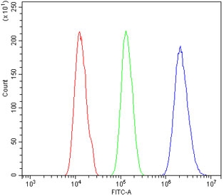 Flow cytometry testing of human A431 cells with HIF1A antibody at 1ug/million cells (blocked with goat sera); Red=cells alone, Green=isotype control, Blue= HIF1A antibody.