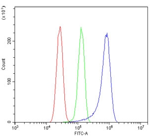 Flow cytometry testing of human U-87 MG cells with MMP2 antibody at 1ug/million cells (blocked with goat sera); Red=cells alone, Green=isotype control, Blue= MMP2 antibody.