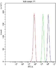 Flow cytometry testing of fixed and permeabilized human HepG2 cells with MSH6 antibody at 1ug/million cells (blocked with goat sera); Red=cells alone, Green=isotype control, Blue= MSH6 antibody.
