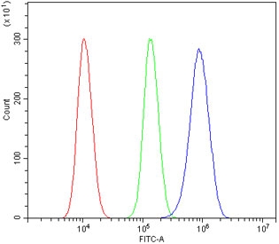 Flow cytometry testing of human 293T cells with NRF-2 antibody at 1ug/million cells (blocked with goat sera); Red=cells alone, Green=isotype control, Blue= NRF-2 antibody.