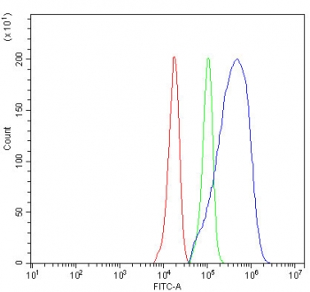 NOX5 Antibody HeLa Cell FACS. Flow cytometry testing of fixed and permeabilized human HeLa cells with NOX5 antibody at 1ug/million cells (blocked with goat sera); Red=cells alone, Green=isotype control, Blue= NOX5 antibody.