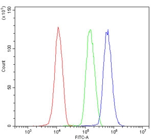 Flow cytometry testing of human HL-60 cells with PHB2 antibody at 1ug/million cells (blocked with goat sera); Red=cells alone, Green=isotype control, Blue= PHB2 antibody.
