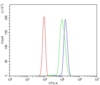 Flow cytometry testing of human U937 cells with POT1 antibody at 1ug/million cells (blocked with goat sera); Red=cells alone, Green=isotype control, Blue= POT1 antibody.