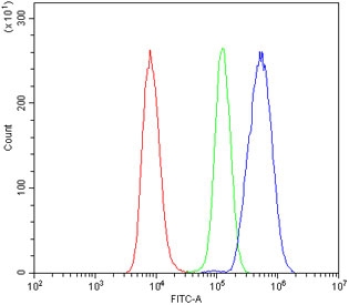 Flow cytometry testing of human Raji cells with SHANK3 antibody at 1ug/million cells (blocked with goat sera); Red=cells alone, Green=isotype control, Blue= SHANK3 antibody.