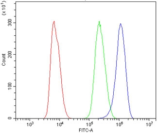 Flow cytometry testing of rat NRK cells with SHANK3 antibody at 1ug/million cells (blocked with goat sera); Red=cells alone, Green=isotype control, Blue= SHANK3 antibody.