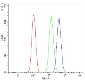 Flow cytometry testing of human A549 cells with XPC antibody at 1ug/million cells (blocked with goat sera); Red=cells alone, Green=isotype control, Blue= XPC antibody.