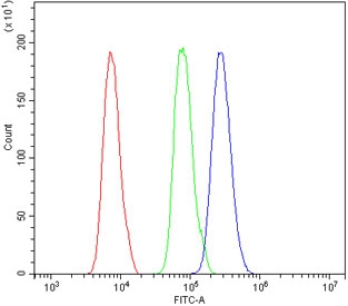 Flow cytometry testing of mouse ANA-1 cells with Xrcc4 antibody at 1ug/million cells (blocked with goat sera); Red=cells alone, Green=isotype control, Blue= Xrcc4 antibody.