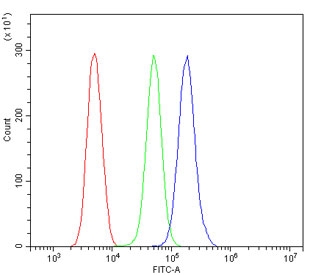 Flow cytometry testing of human ThP-1 cells with S100A4 antibody at 1ug/million cells (blocked with goat sera); Red=cells alone, Green=isotype control, Blue= S100A4 antibody.
