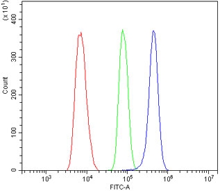 Flow cytometry testing of fixed and permeabilized human ThP-1 cells with ACADSB antibody at 1ug/million cells (blocked with goat sera); Red=cells alone, Green=isotype control, Blue= ACADSB antibody.