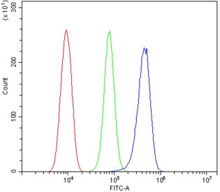 Flow cytometry testing of fixed and permeabilized rat RH-35 cells with ACADSB antibody at 1ug/million cells (blocked with goat sera); Red=cells alone, Green=isotype control, Blue= ACADSB antibody.