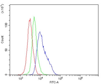 Flow cytometry testing of mouse spleen cells with Afm antibody at 1ug/million cells (blocked with goat sera); Red=cells alone, Green=isotype control, Blue= Afm antibody.