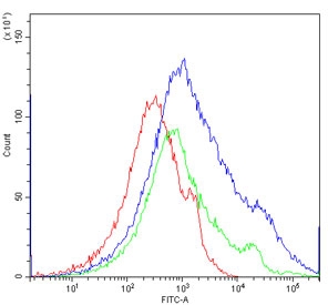 Flow cytometry testing of human PBM cells with CCR2 antibody at 1ug/million cells (blocked with goat sera); Red=cells alone, Green=isotype control, Blue= CCR2 antibody.